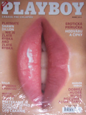 Playboy Slovakia - Mar 2013